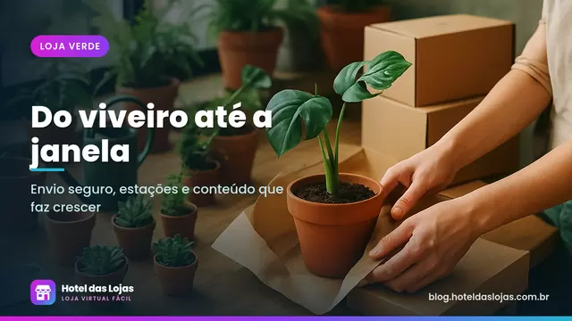 Bancada com suculentas, samambaias e muda de costela-de-adão em vasos de cerâmica sendo embaladas em caixas de papelão